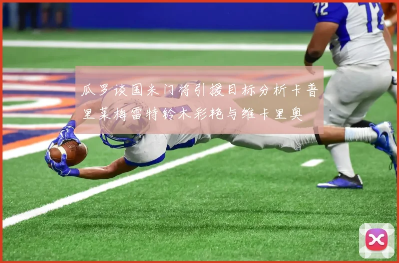 瓜罗谈国米门将引援目标分析卡普里莱梅雷特铃木彩艳与维卡里奥